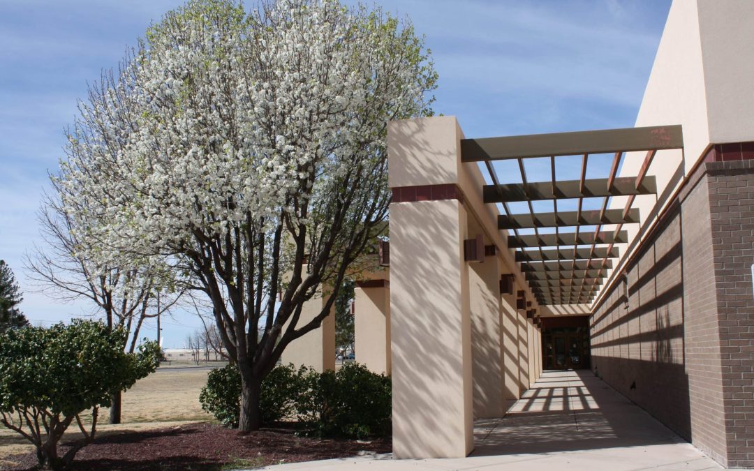 Registration Now Open for Summer and Fall Classes