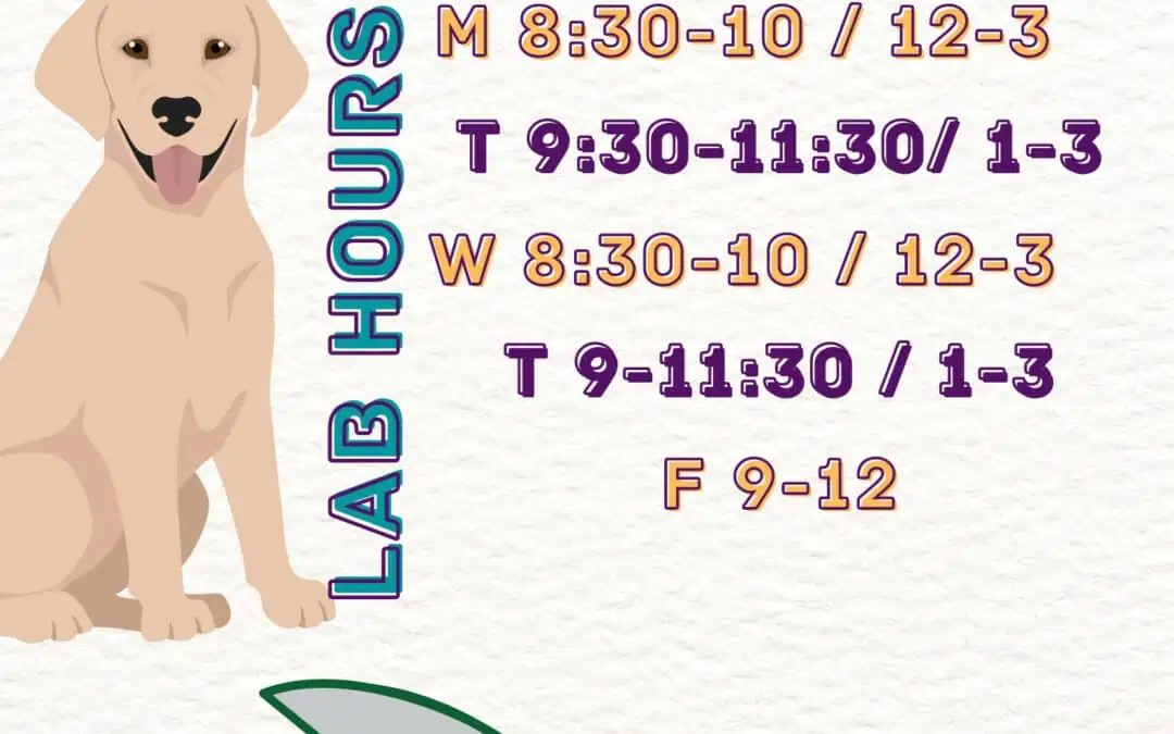 Spring Writing Center Hours