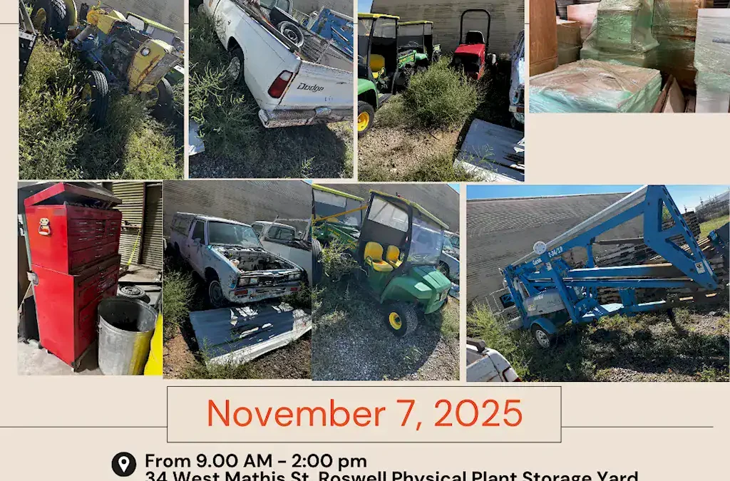 2025 Annual Surplus Sale and Auction